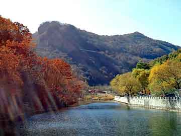 澳门二四六天天彩图库，中国车险市场分析